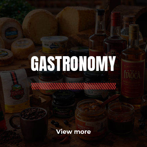 Gastronomy